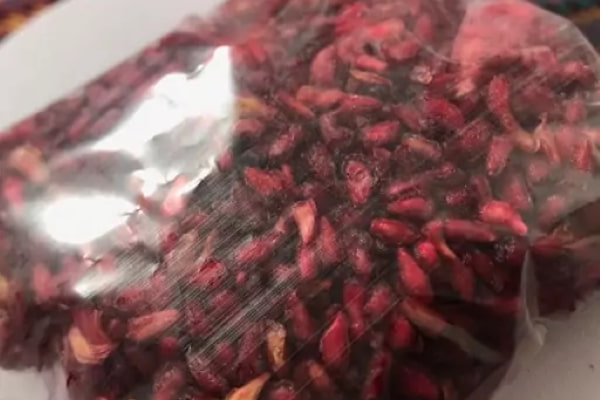 تصویر 1 از راهنمای خرید دانه انار خشک شده + قیمت عالی